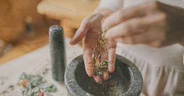 Herbs and organ meats working together for better nutrient absorption
