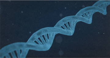Cornell Just Linked B12 to Why Women Age the Way They Do