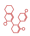 Cognitive Function